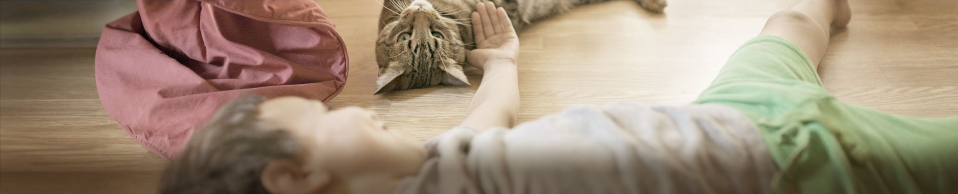 Boy playing with cat